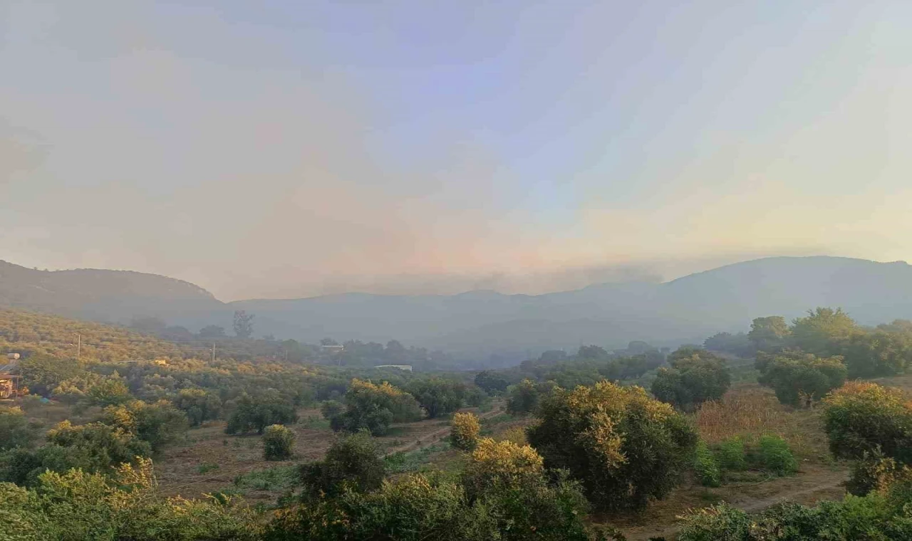 Adana Kozan’da orman yangını