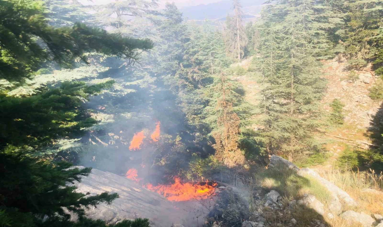 Adana’da ormanlık alanda çıkan yangın kontrol altına alındı