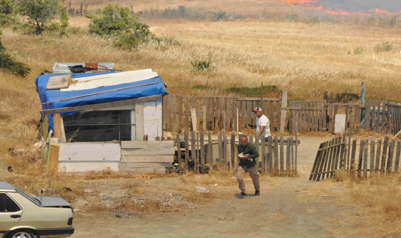 Anız yangınında kulübedeki güvercinlerini otomobilin bagajına koyarak kurtardı