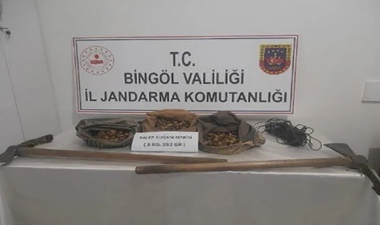 Bingöl’de salep soğanı toplayanlar yakalandı, 1 milyon 161 bin lira ceza kesildi