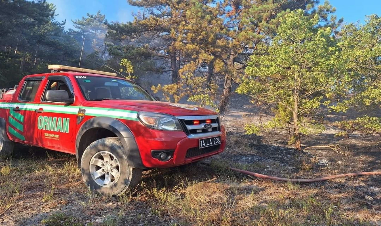 Bolu’da çıkan orman yangını büyümeden söndürüldü