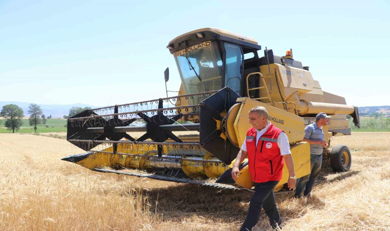 Buğdayda rekolte ve kalite arttı