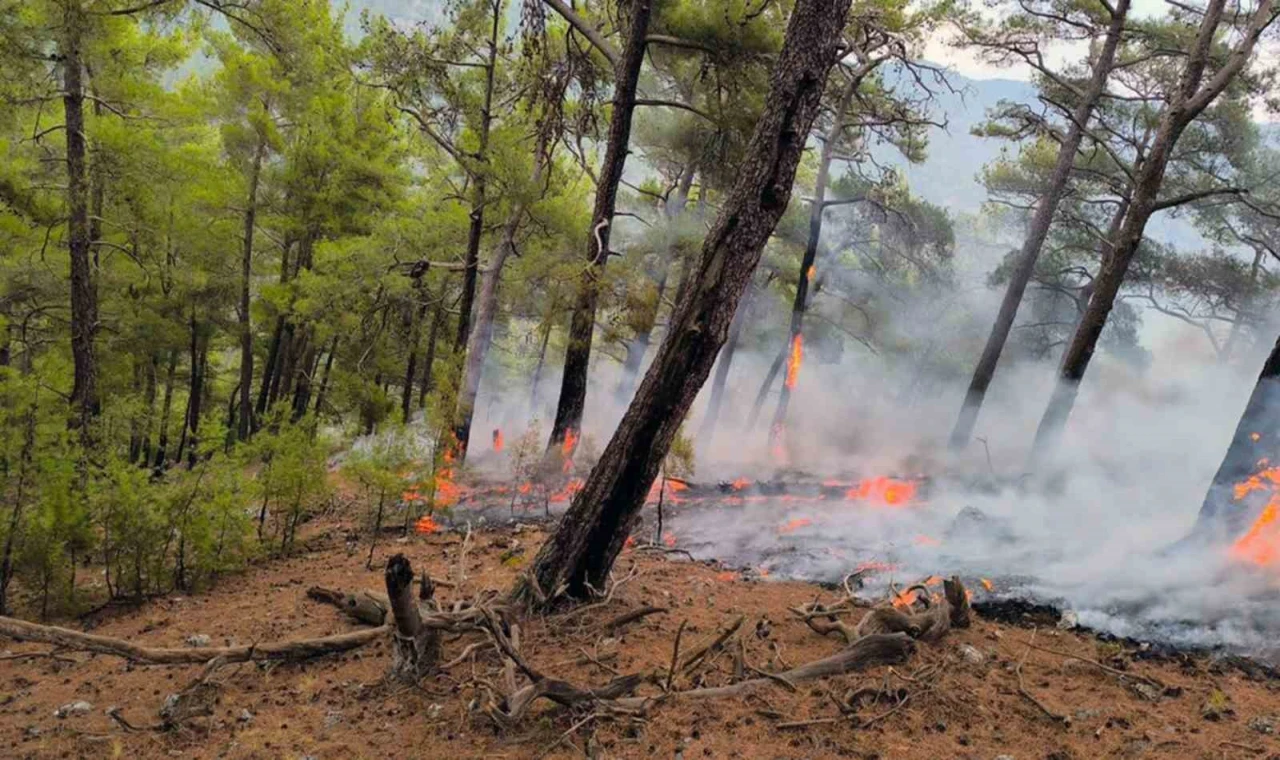 Cehennem Deresi yanıyordu, orman ve itfaiyeciler kurtardı