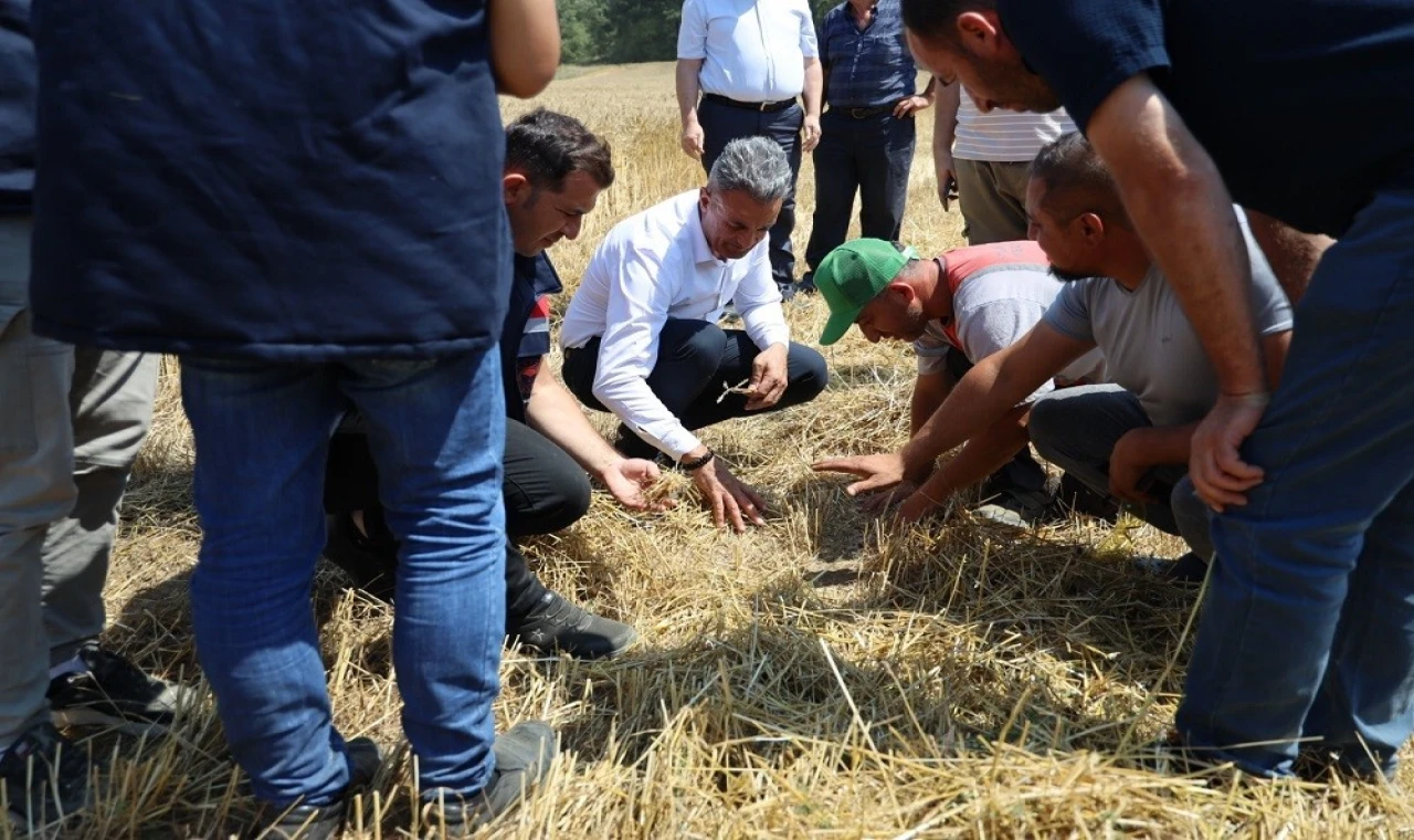 Çiftçilerle biçerdöver hasadına katıldı