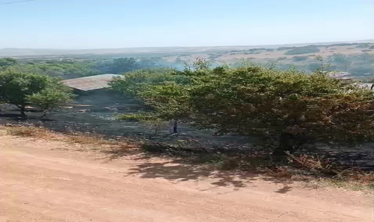 Elazığ’da korkutan yangın: Alevler evlere sıçramadan söndürüldü