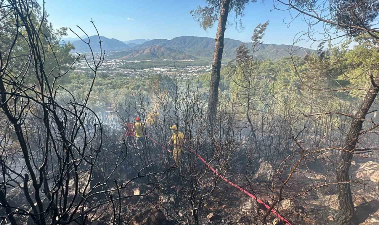 Fethiye’de zeytinlik alanda çıkan yangın kontrol altına alındı