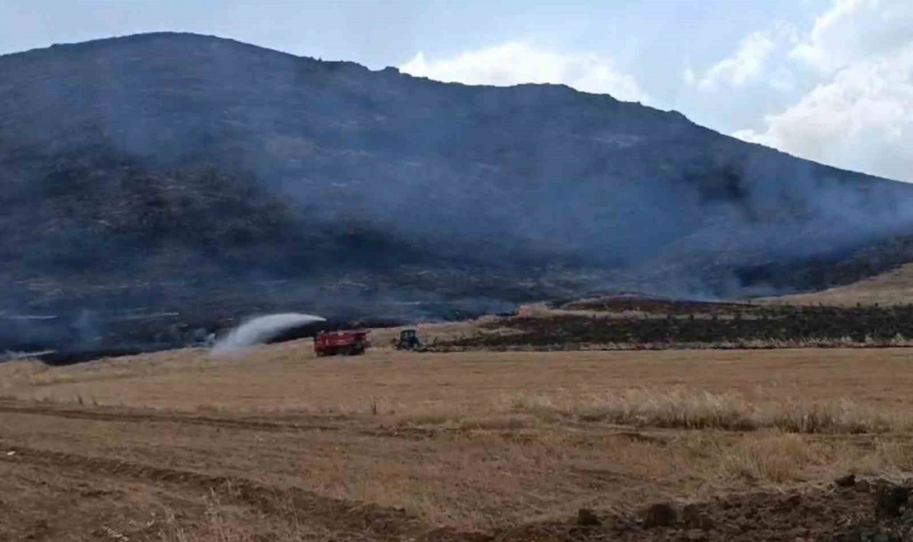 Gaziantep’te anız yangını ormanlık alana zarar verdi