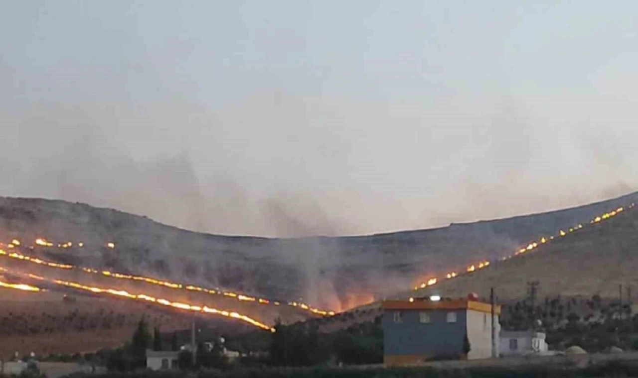 Göbeklitepe yakınlarında korkutan yangın