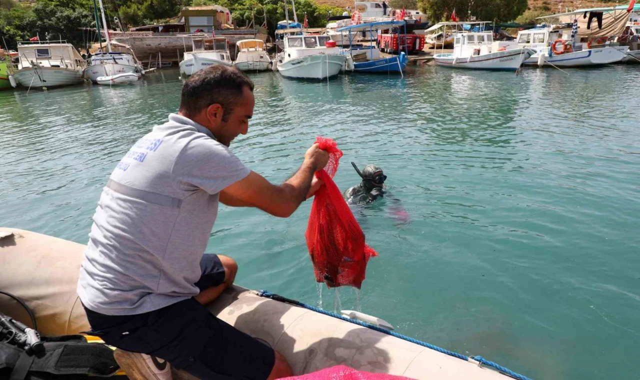 Gümbet’te deniz dibi temizliği