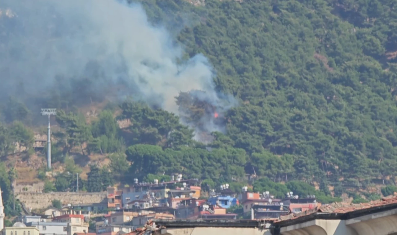 Habibi Neccar Dağı’nda çıkan orman yangını söndürüldü