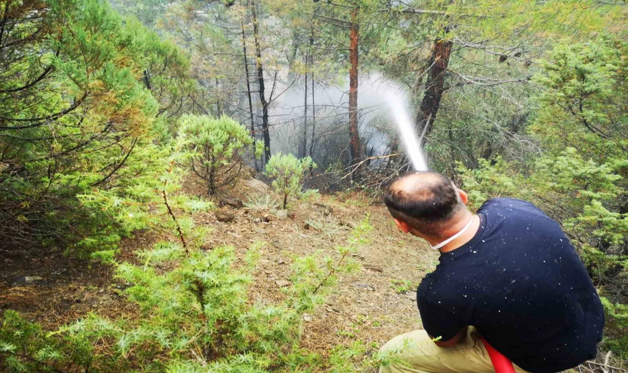 Karabük’te orman yangını kısmi olarak kontrol altına alındı