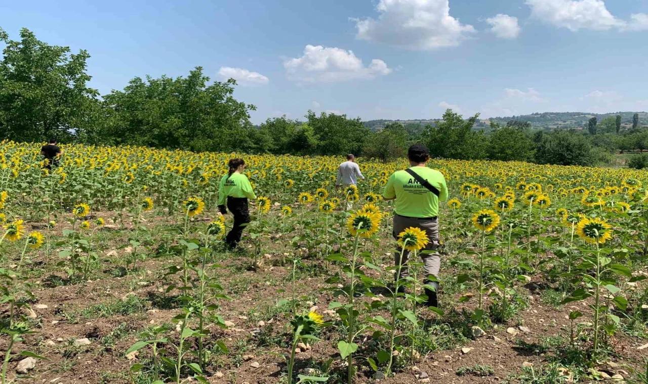 Kayıp çoban dün akşamdan beri aranıyor