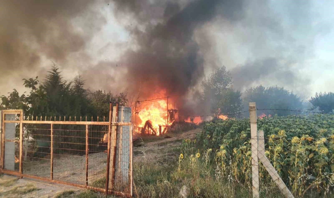 Kırklareli’nde yangın: Bağ evi kullanılmaz hale geldi