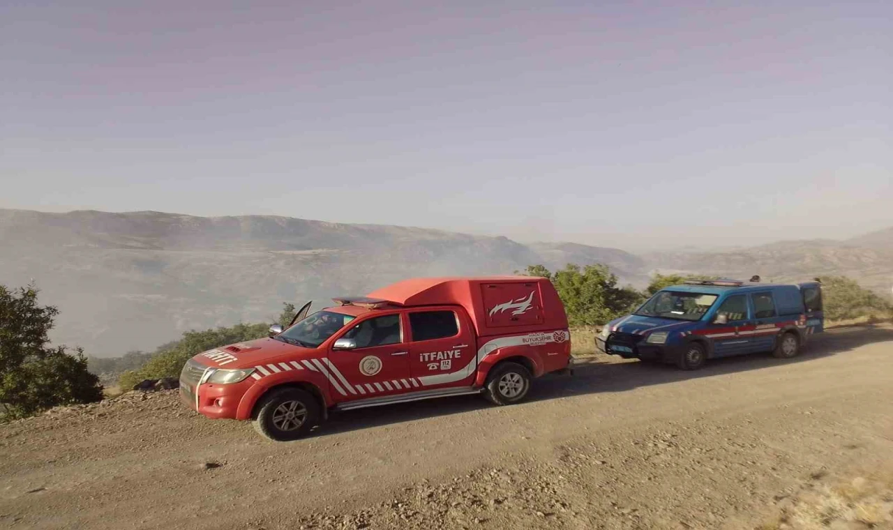 Malatya’da ormanlık alanda yangın