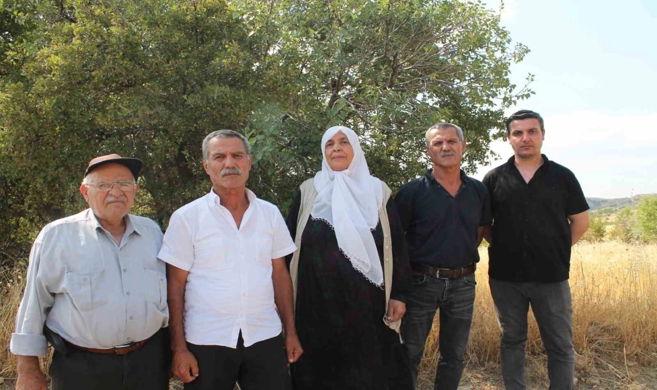 Mardin’de ağabey, 15 kardeşinin arazi hakkını sahte tapu işlemleri ile aldığı iddia edildi