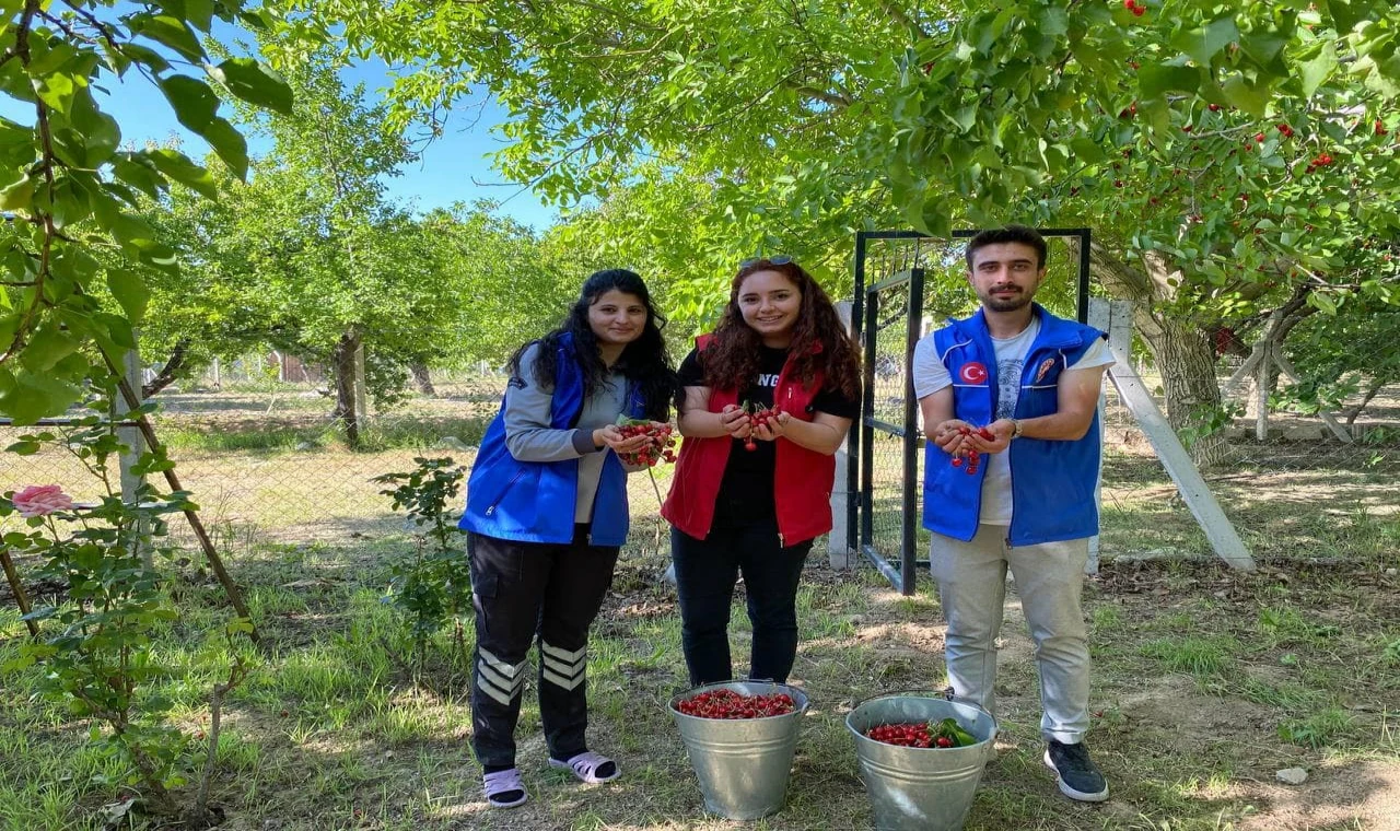 Niğde’de gönüllü gençler cami temizliği ile kiraz hasadı yaptı