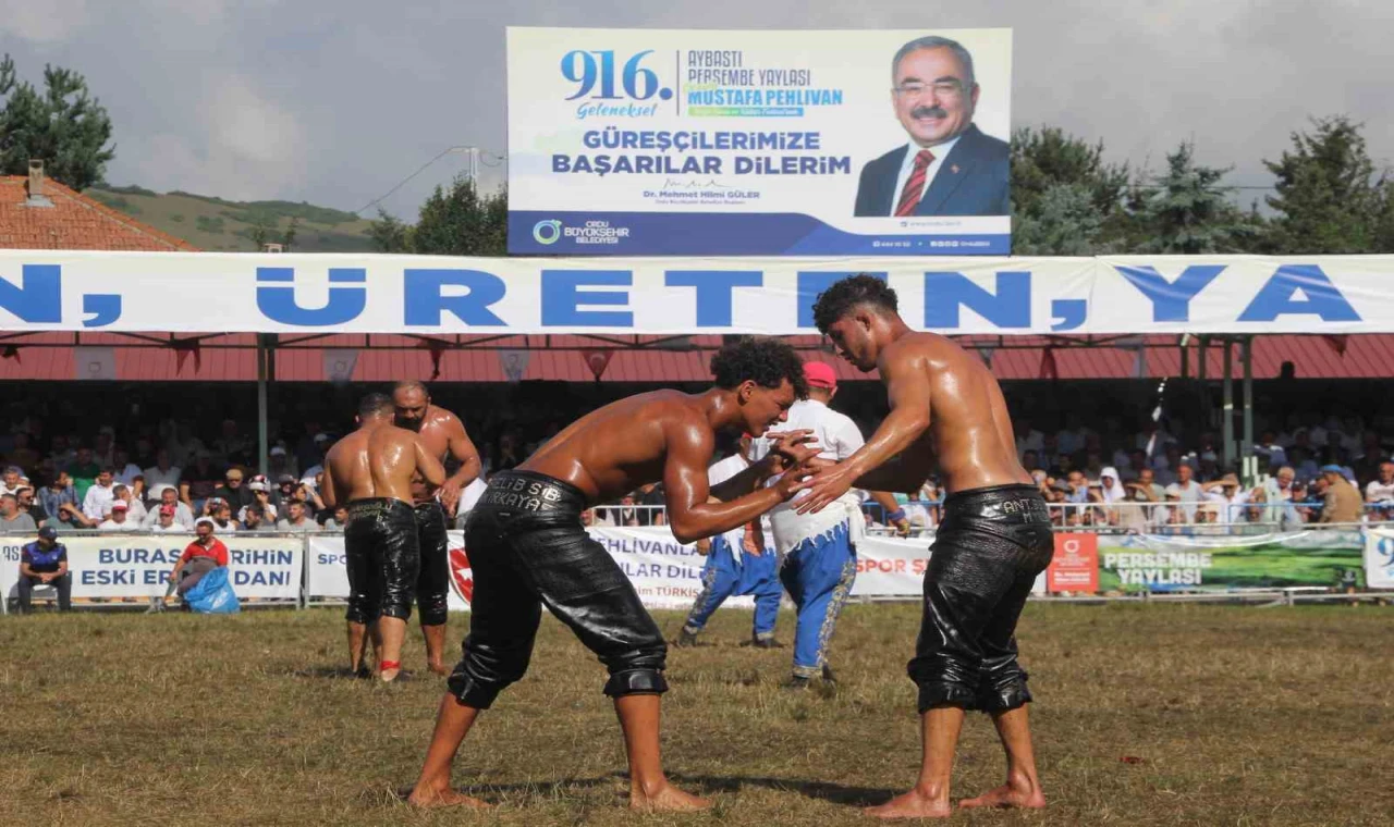 Ordu’da pehlivanlar kıran kırana yarıştı