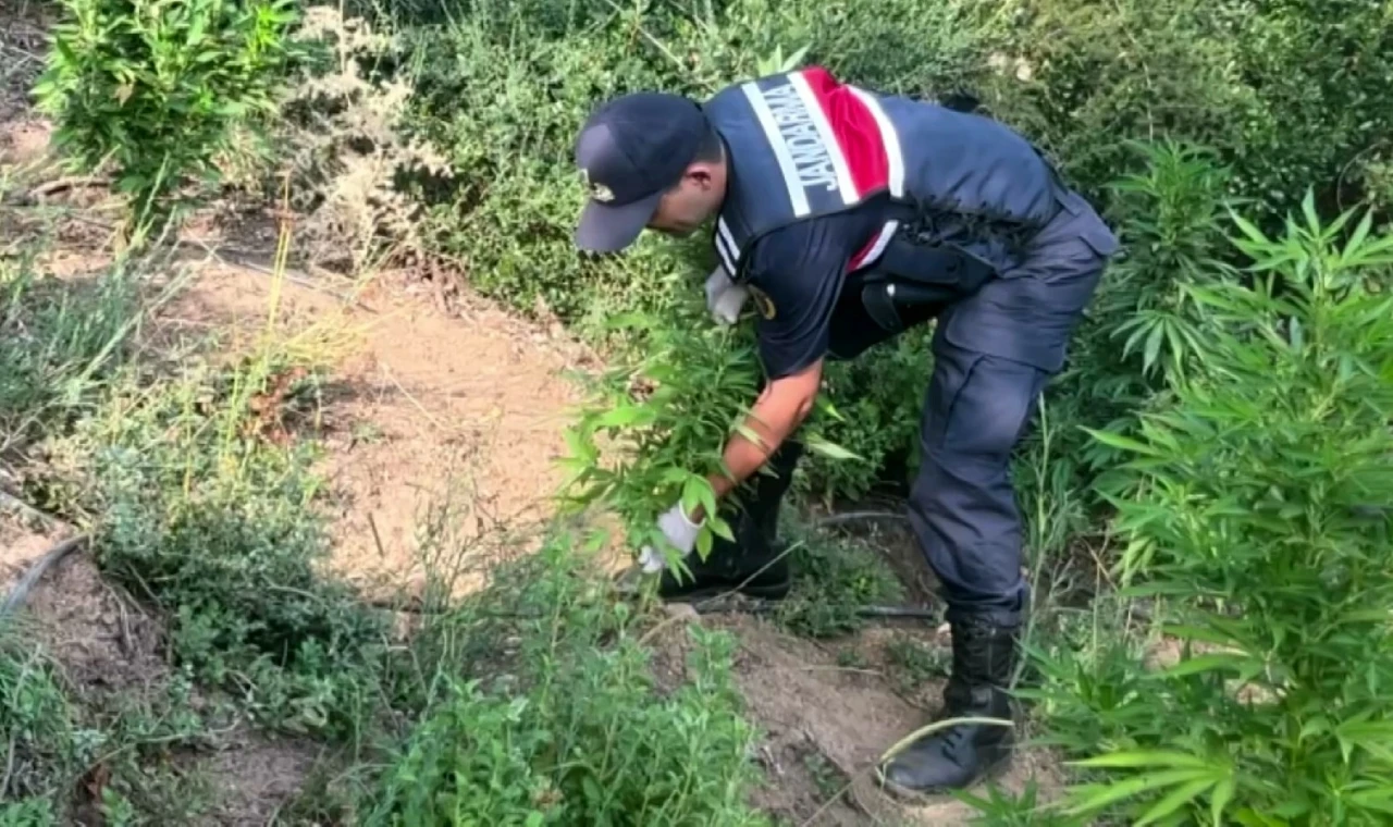 Sakarya’da jandarmadan uyuşturucuya geçit yok