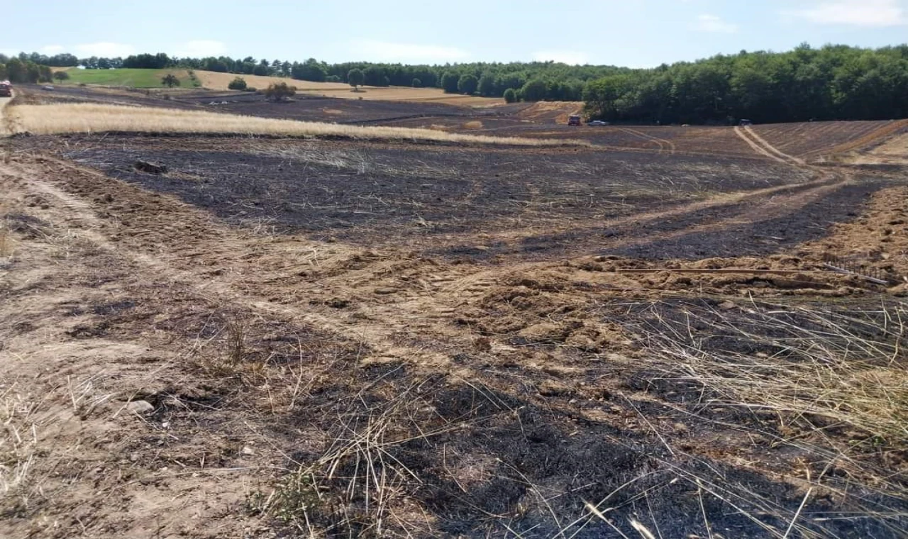 Samsun’da buğday arazisinde yangın: 200 dekar alandaki buğdaylar yandı