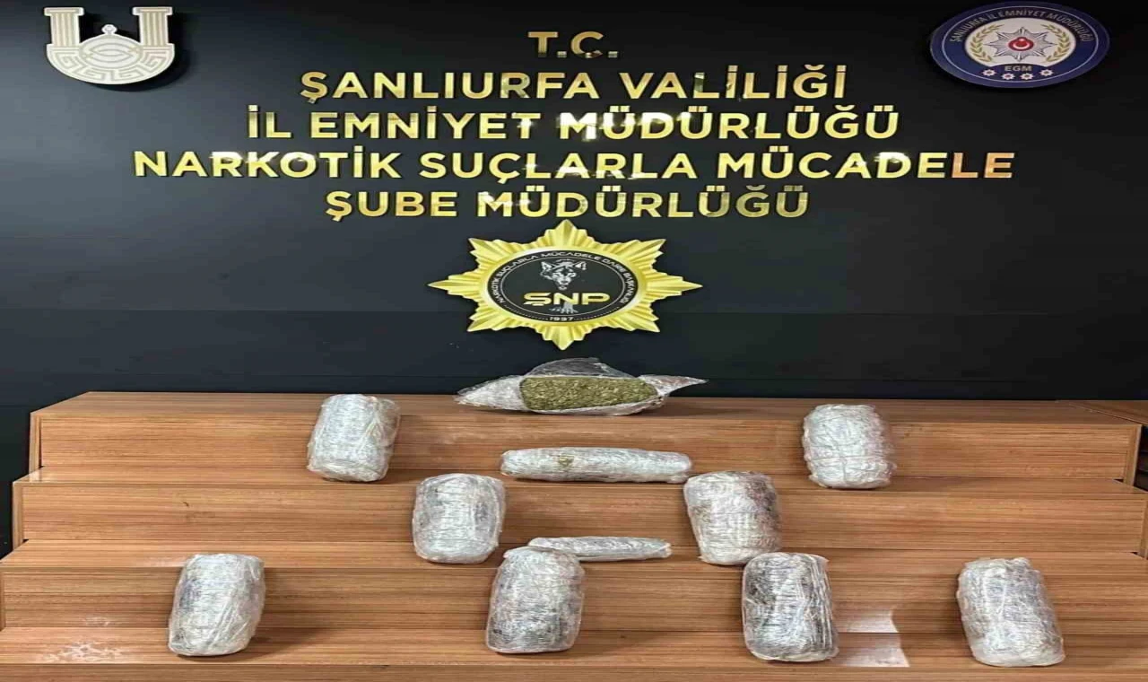 Şanlıurfa’da 18 kilogram skunk ele geçirildi: 2 gözaltı