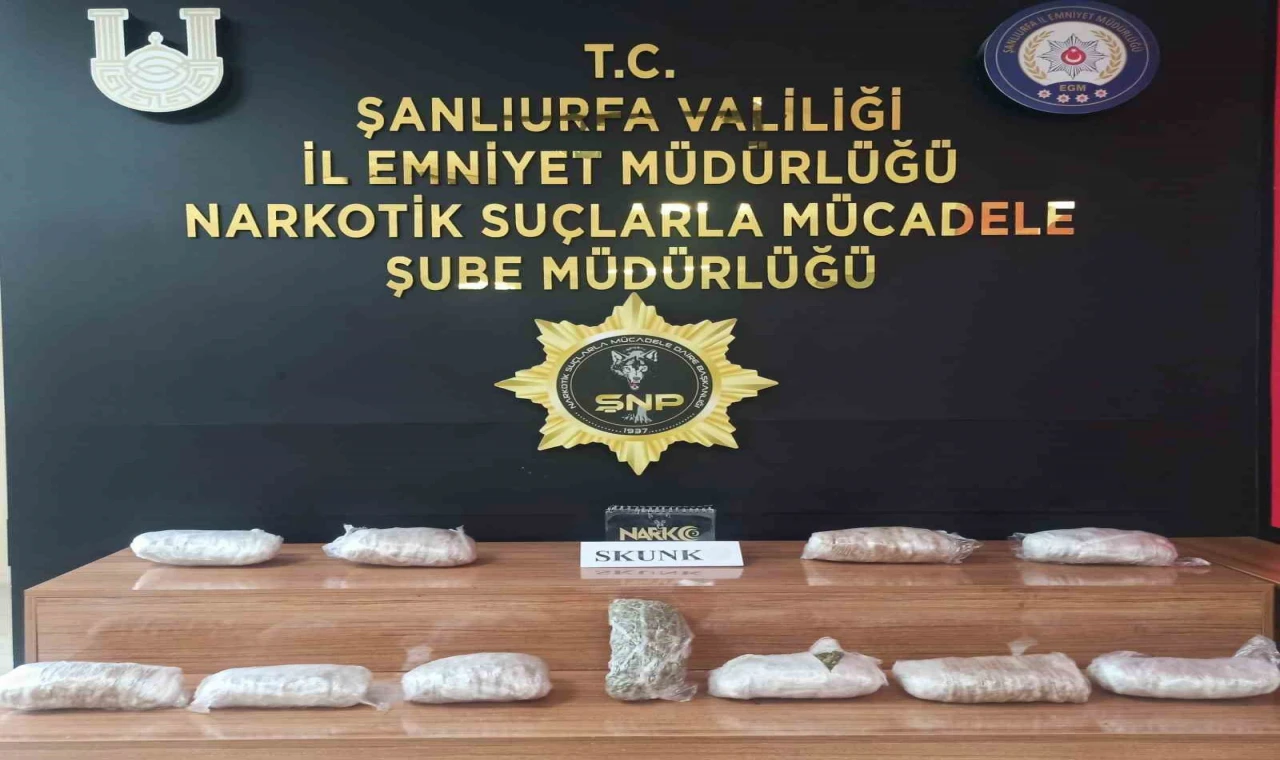 Şanlıurfa’da 6 kilo 550 gram skunk ele geçirildi