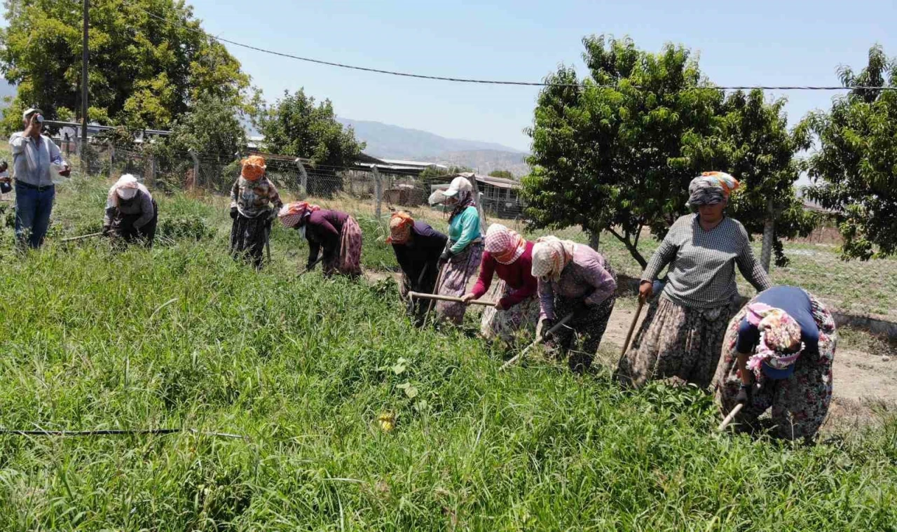 Sıcaklar Egeli kadınları yıldırmıyor