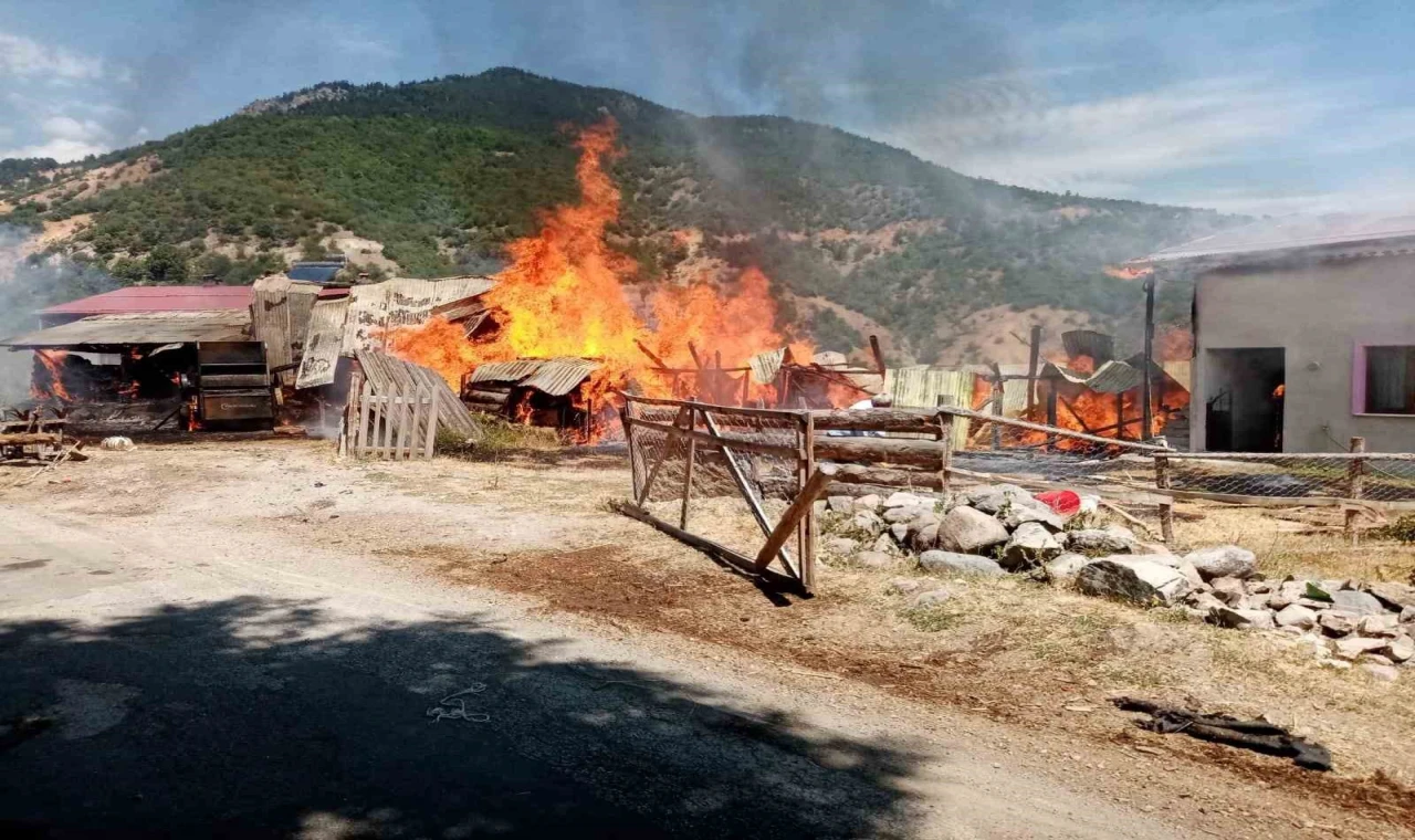 Sivas’ta korkutan yangın: 2 samanlık ve 2 ahır yandı