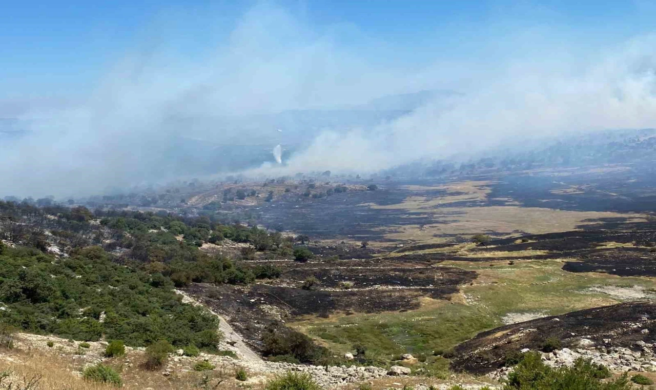 Soma’daki orman yangınında bir mahalle tahliye edildi