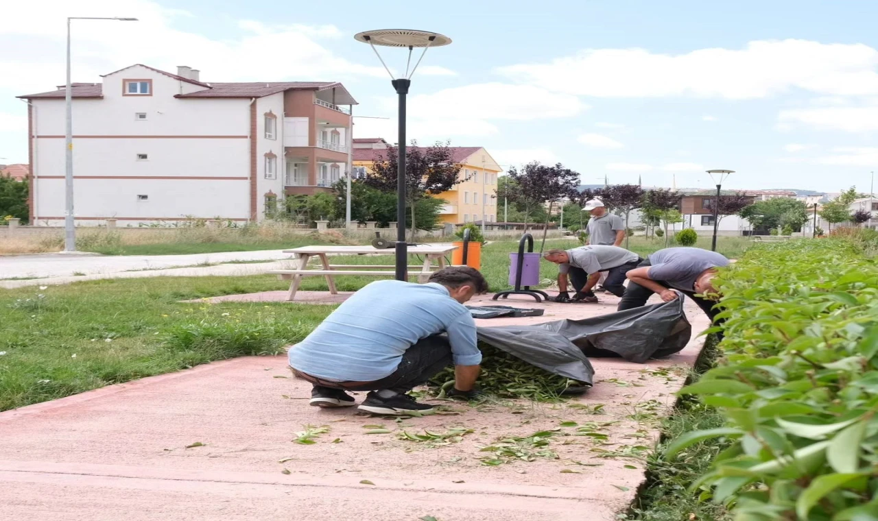 Sorgun’da çevre düzenlemesi