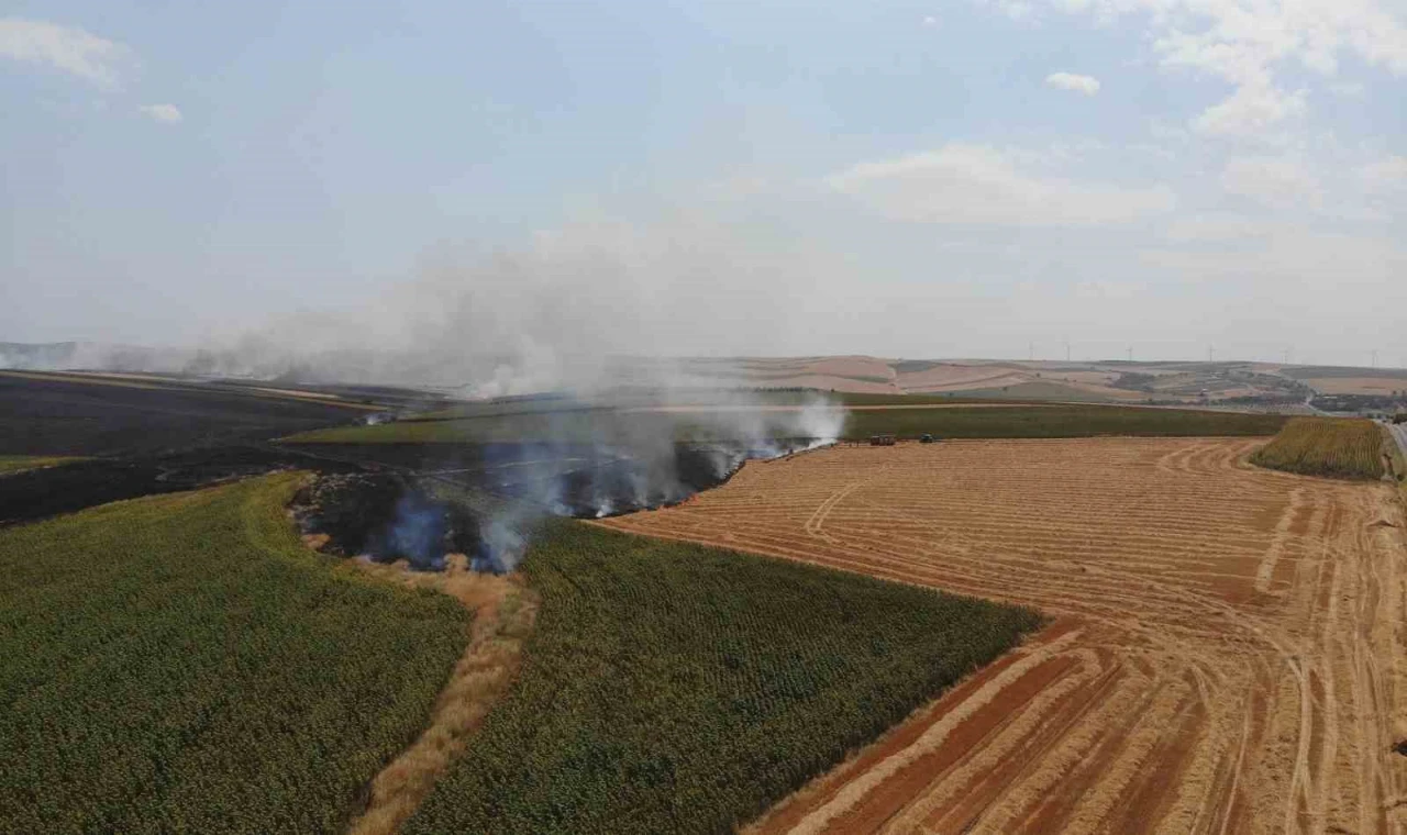 Tekirdağ’da anız yangını 500 dönüm yandı: Yangın sürüyor