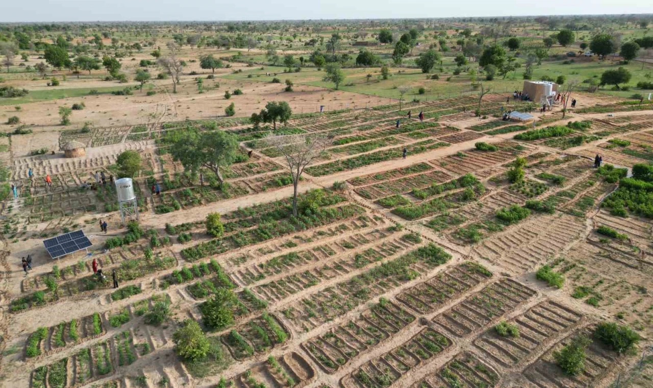 TİKA Nijer’de 100 kadın yararına sebze ve moringa üretim bahçesi kurdu