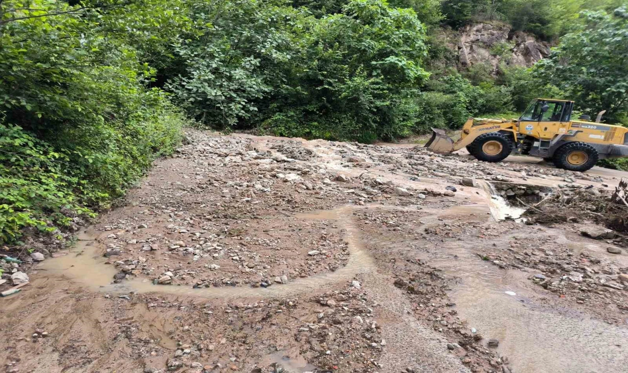 Trabzon’da şiddetli yağış su taşkınları ve toprak kaymalarına neden oldu