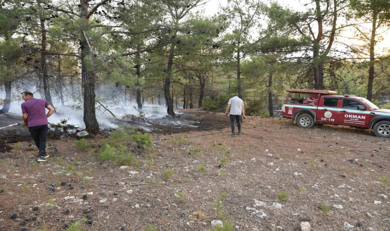 Uşak’ta ormanlık alanda çıkan yangın kontrol altına alındı