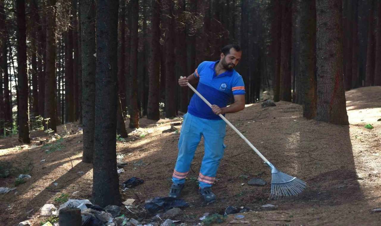 Yıldırım’da orman temizliği