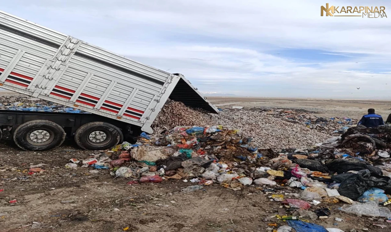 Ereğli'de 1 tır dolusu kokmuş balık yakalanıp imha edildi