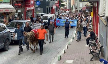 43. Kafkasör Festivali boğalı kortej yürüyüşüyle başladı