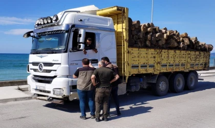 Akçakoca’da orman emvali taşıyan araçlar kontrol edildi