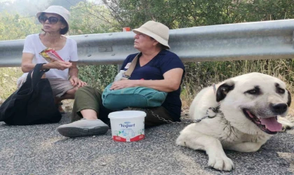 Alevler evinin bahçesine kadar geldi, gözyaşlarına hakim olamadı