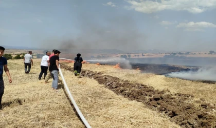 Anız yangını ekili alanlara sıçradı, 20 dönüm alan zarar gördü