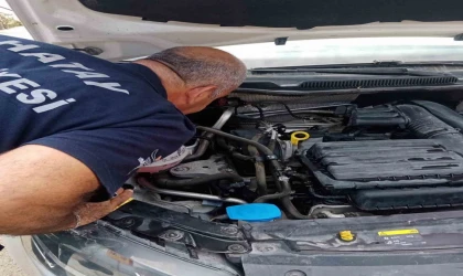 Aracın motor kısmına giren yavru kedi kurtarıldı