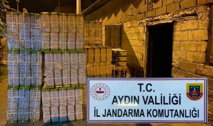 Aydın’da sahte bal operasyonu: 2 ton 960 kilo ele geçirildi