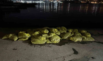 Beyoğlu’nda 1,5 ton kaçak midye ele geçirildi