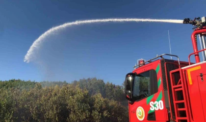 Bingöl’de çıkan orman yangını büyümeden söndürüldü