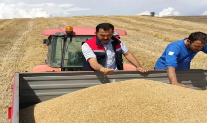 Bozüyük’te biçerdöver denetimi ve hasat yapılan hububat tarlalarında kontroller