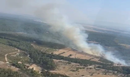 Buca’da orman yangını