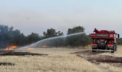 Denizli’nin Bekilli ilçesinde çıkan yangın söndürüldü