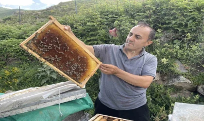 Dünyaca ünlü Anzer Balı’nın bu yıl kilogram satış fiyatı 4 bin TL oldu