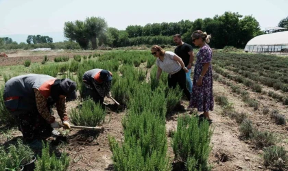 Düzce tarımda atılıma geçiyor