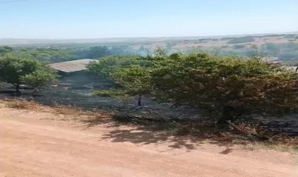 Elazığ’da korkutan yangın: Alevler evlere sıçramadan söndürüldü