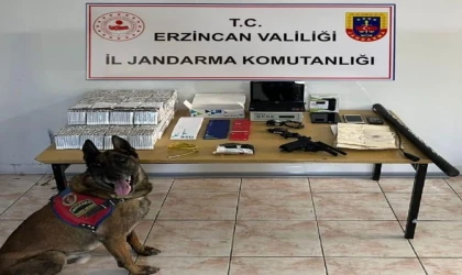 Erzincan jandarma suç olaylarına geçit vermiyor